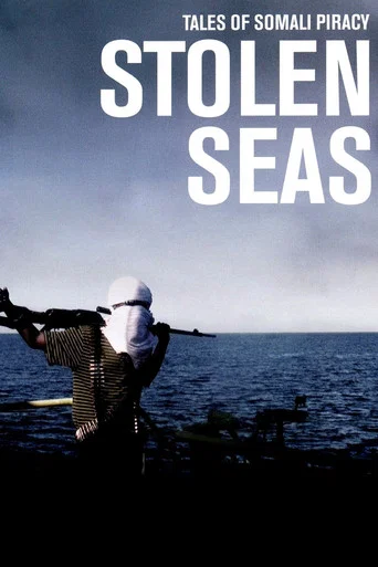 Movie poster for Stolen Seas (2013)