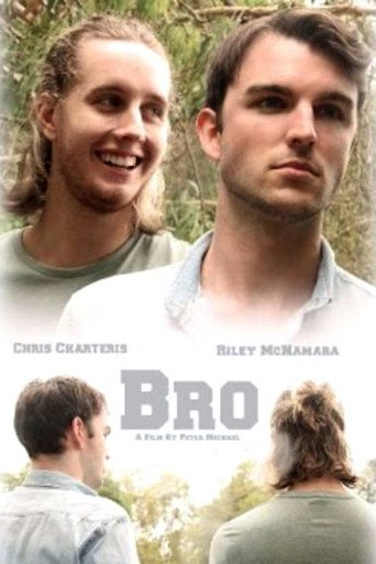 Movie poster for Bro (2016)