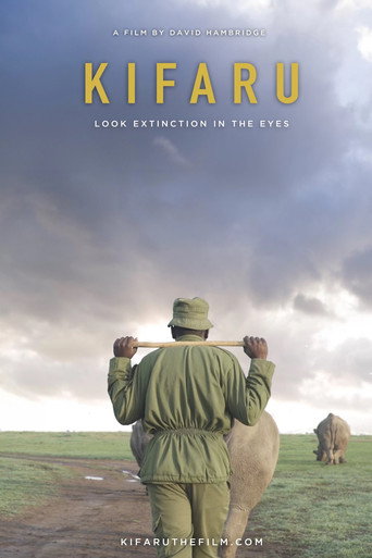 Movie poster for Kifaru (2019)