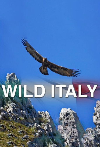 Series poster for Wild Italy (2014)