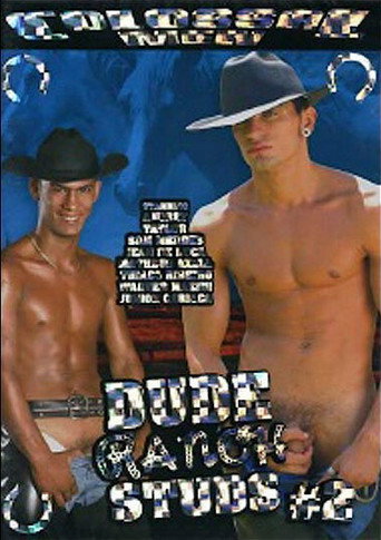Movie poster for Big Log (2006)