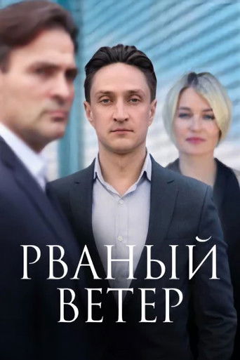 Рваный ветер poster