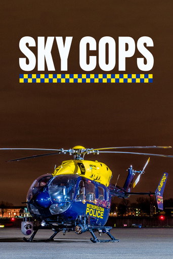 Sky Cops poster