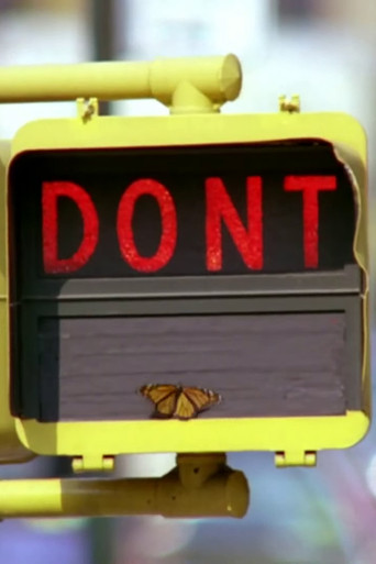 Movie poster for Don't (1975)