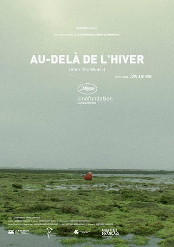 Movie poster for After the Winter (2013)