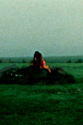 Movie poster for INT. LANDSCAPES (2018)