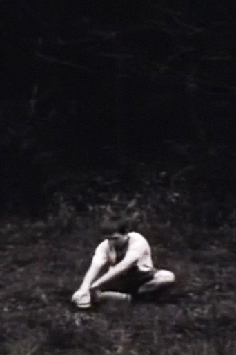 Movie poster for Miles Above, Years Apart (2005)