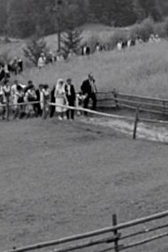 Sloping Fields poster