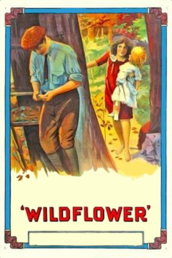 Movie poster for Wildflower (1914)