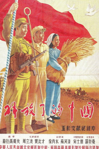 The New China poster