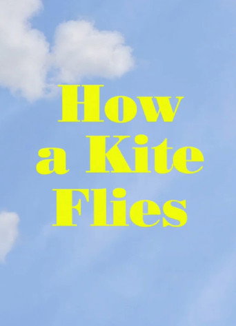 Movie poster for How a Kite Flies (2017)