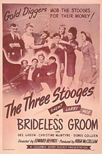 Movie poster for Brideless Groom (1947)