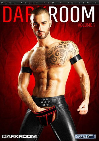 Movie poster for DarkRoom 1 (2012)