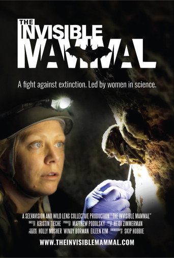 Movie poster for The Invisible Mammal (2025)