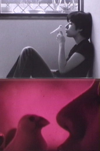 Movie poster for Dedicated to M (2002)