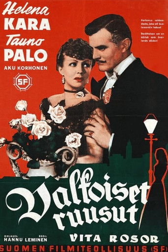 Valkoiset ruusut poster