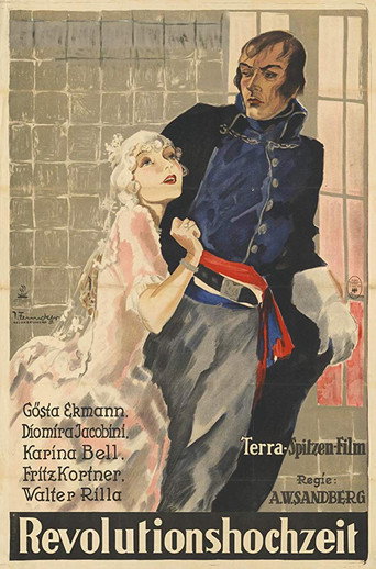 Movie poster for The Last Night (1928)