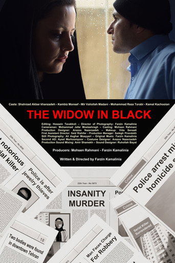 Movie poster for The Widow in Black (2017)