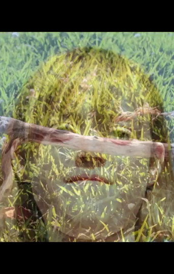 Movie poster for Lucy & Janie (2013)