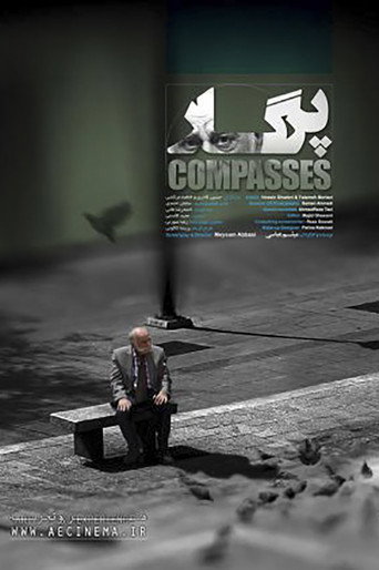 Movie poster for Compasses (2017)