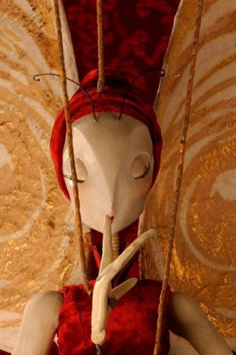 Movie poster for The Butterfly Woman (2003)