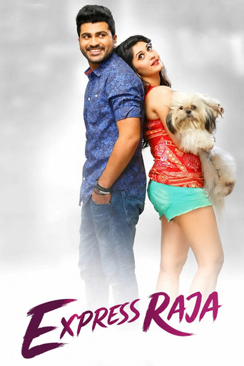 Movie poster for Express Raja (2016)