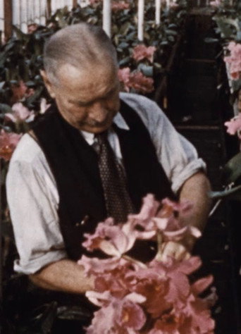 Movie poster for Andy Benson Orchid (1954)