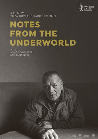 Movie poster for Notes from the Underworld (2020)