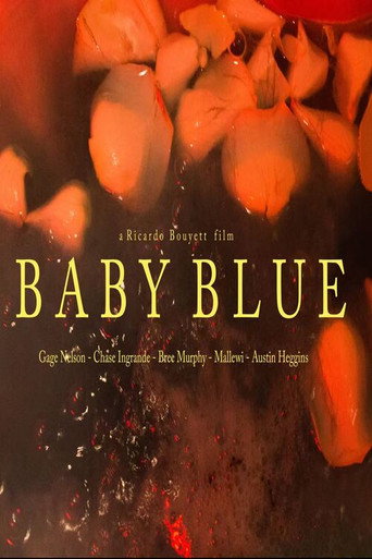 Movie poster for Baby Blue (2018)