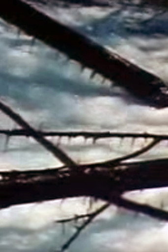 Movie poster for Seasons Project (2005)