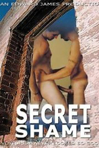 Movie poster for Secret Shame (2002)