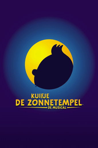 Kuifje: De Zonnetempel, De Musical poster
