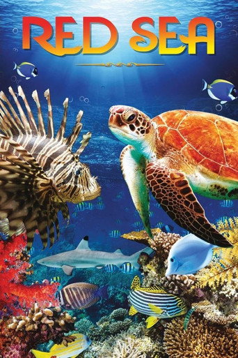 Movie poster for Red Sea (2016)