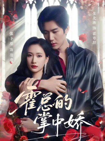 Series poster for 霍总的掌中娇 (2025)