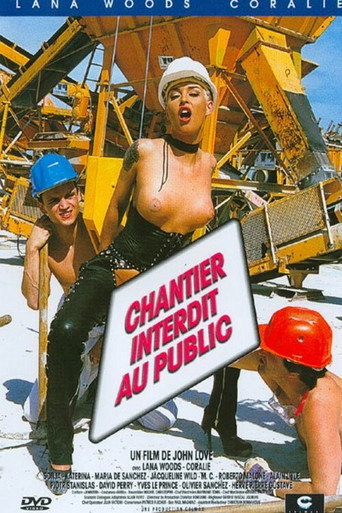 Movie poster for Chantier interdit au public (1996)