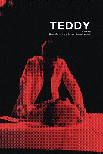 Movie poster for TEDDY
