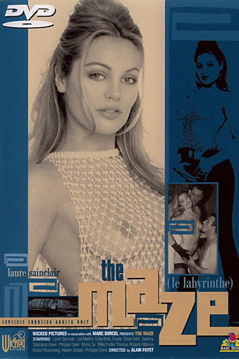 Movie poster for The Maze (1997)