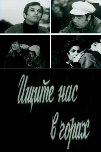 Find Us in the Mountains poster