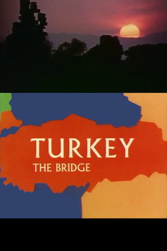 Movie poster for Turkey: The Bridge (1965)