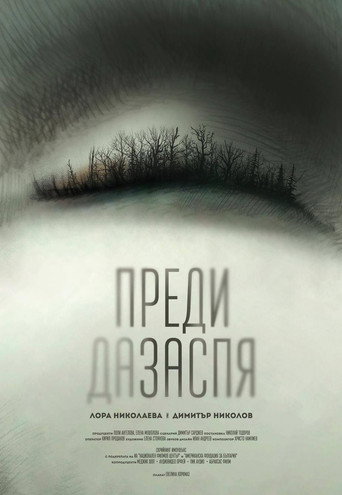 Movie poster for Before I Go to Sleep (2016)