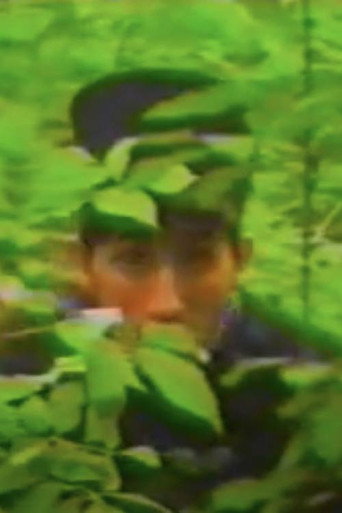 Movie poster for Spring Hoax (1993)