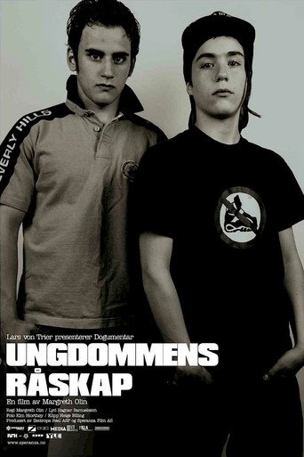 Movie poster for Raw Youth (2004)