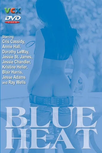Movie poster for Blue Heat (1978)