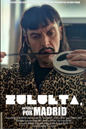 Zulueta, un paseo por Madrid poster