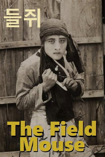 Movie poster for Field Mouse (1927)