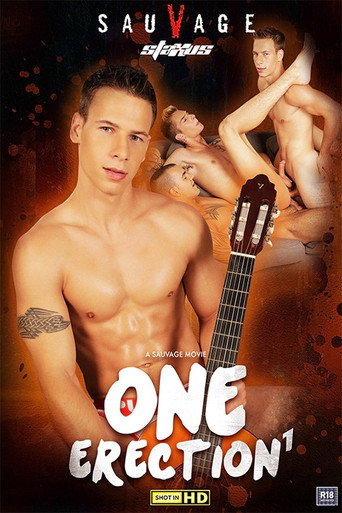 Movie poster for One Erection (2014)