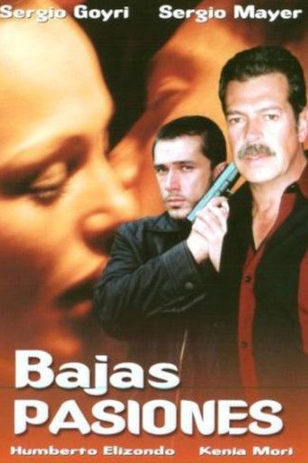 Bajas pasiones poster