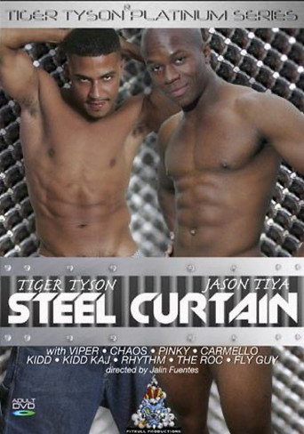 Movie poster for Steel Curtain (2007)
