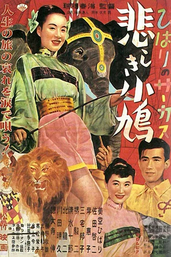 Movie poster for Hibari's Circus: The Sad Little Dove (1952)