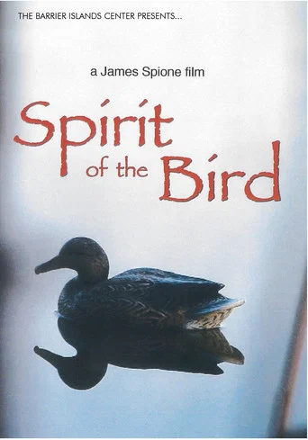 Movie poster for Spirit of the Bird (2012)